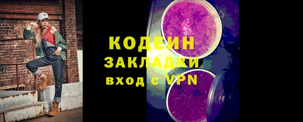 крисы Абаза
