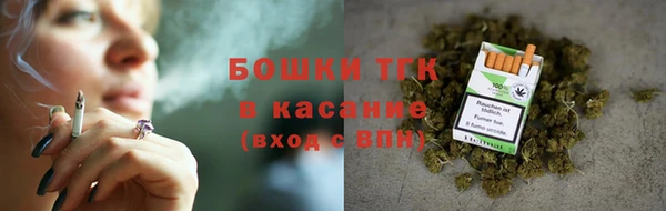 крисы Абаза