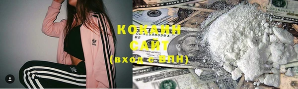 крисы Абаза