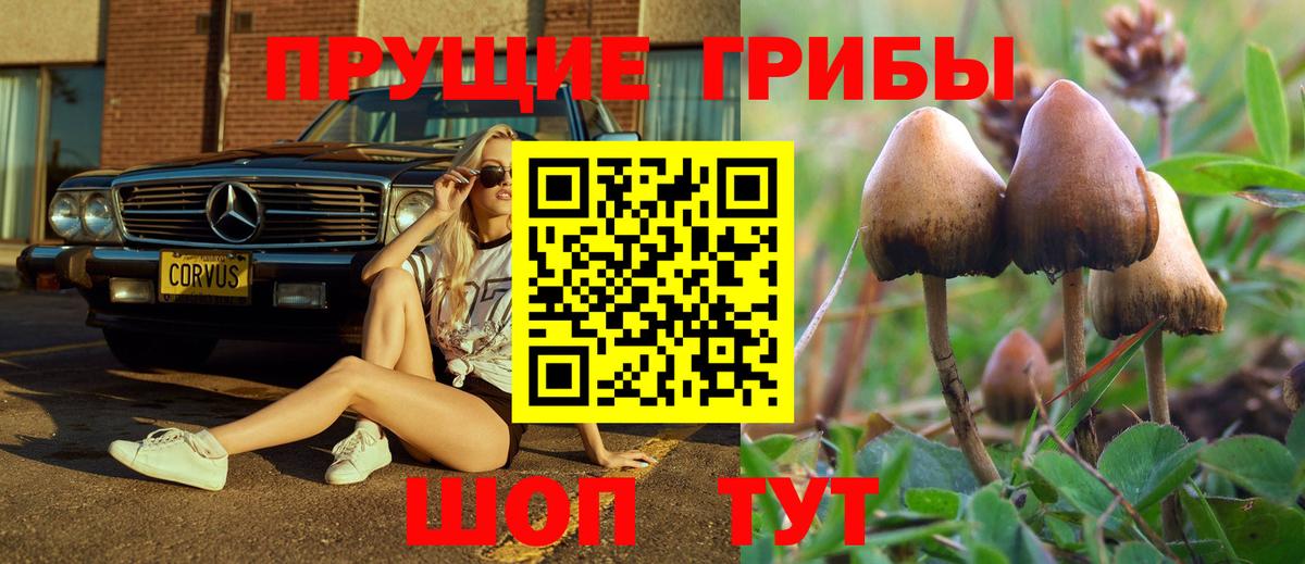 купить  цена  Галлюциногенные грибы GOLDEN TEACHER  Вход с VPN  Галлюциногенные грибы Cubensis  Торжок 